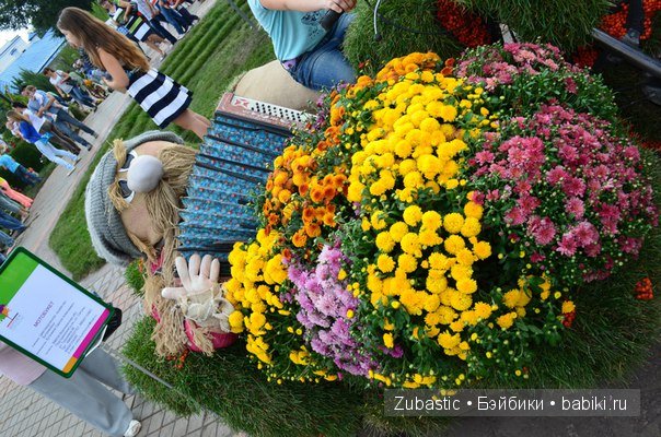 Воронеж-город сад!И немного капустки)