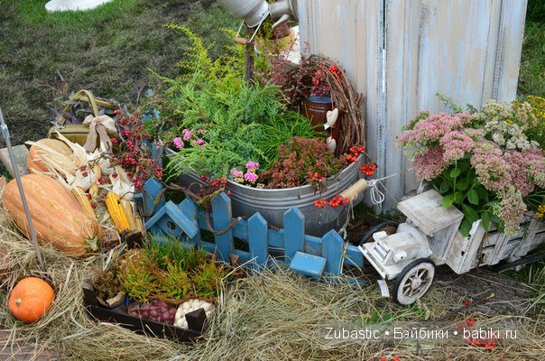 Воронеж-город сад!И немного капустки)