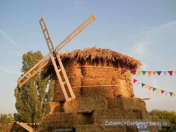 Воронеж-город сад!И немного капустки) (фото 10)