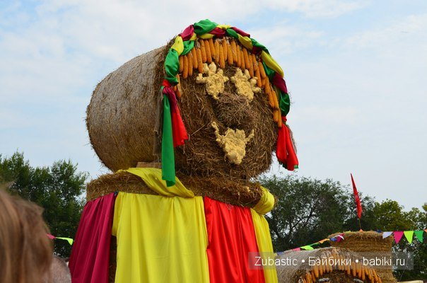 Воронеж-город сад!И немного капустки)