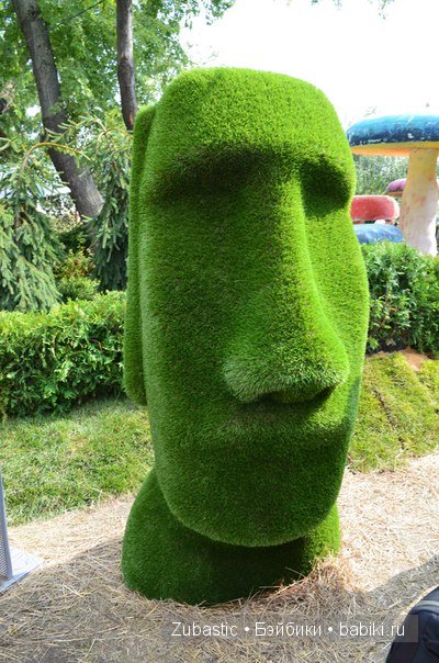 Воронеж-город сад!И немного капустки)