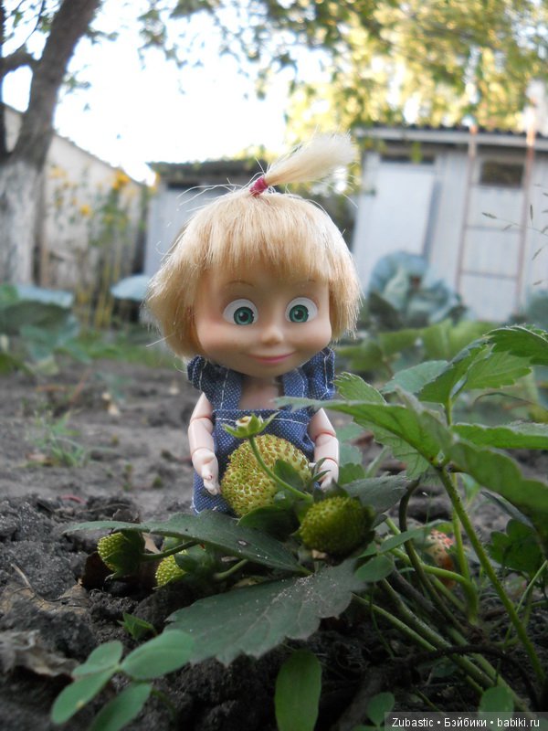 Вспомним жаркое лето холодной зимой или Маша у бабушки (фото 5)