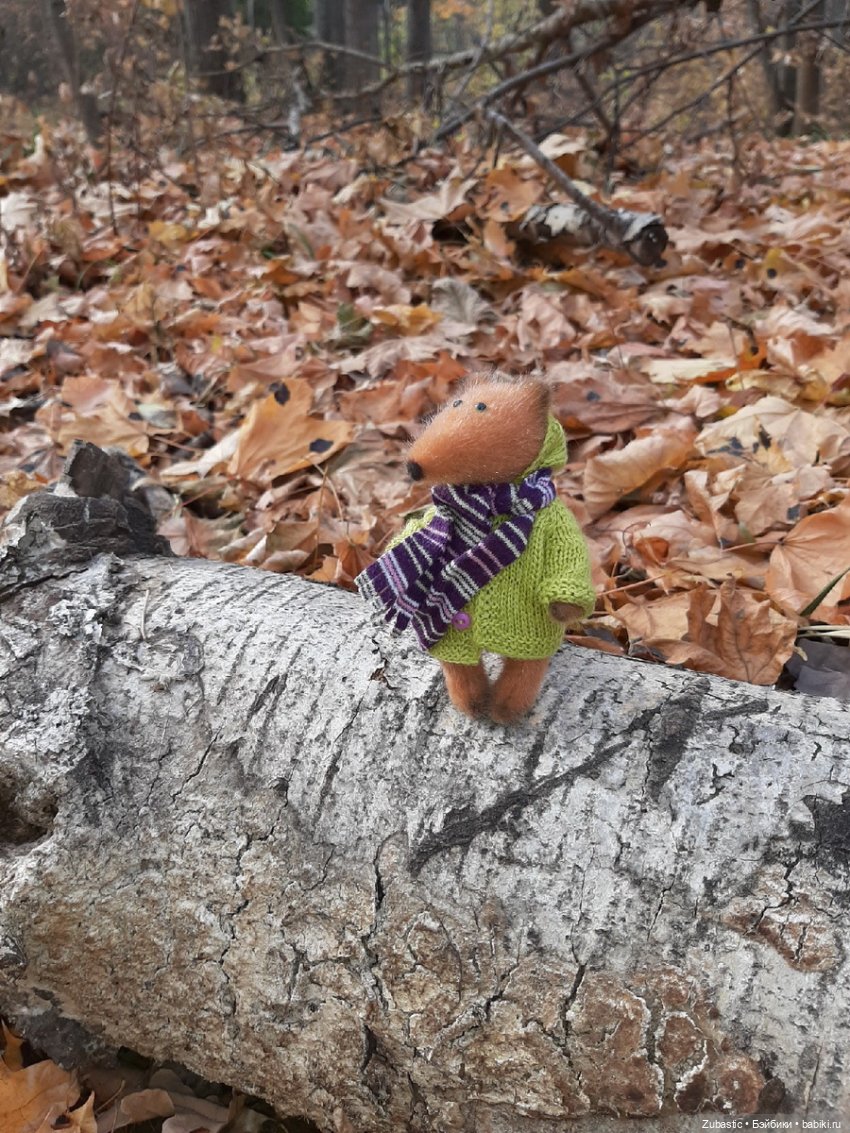 Оскар и осень — Текстильные игрушки и примитивы: кофейные (фото 5)