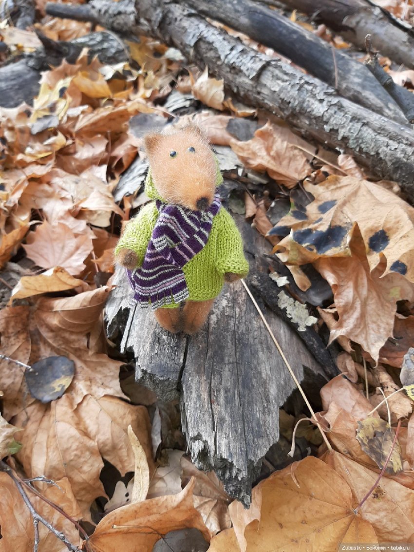 Оскар и осень — Текстильные игрушки и примитивы: кофейные (фото 6)