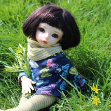 Моя новенькая малышка LittleFee Fairyland Ante Elf и ее первая прогулка