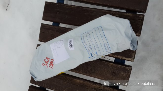 Моя азиатская кошечка Амигата Тресса от Тимура Зелеева (фото 2)