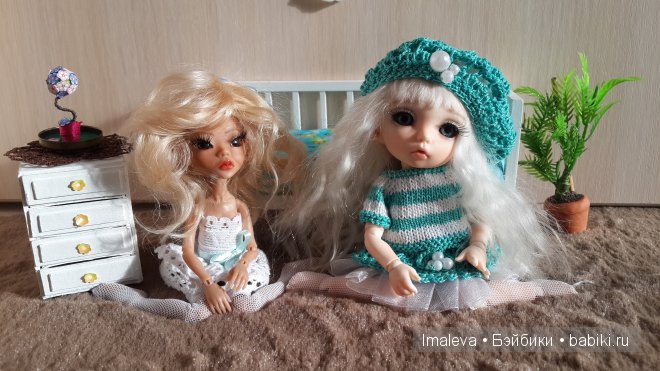 Моя азиатская кошечка Амигата Тресса от Тимура Зелеева