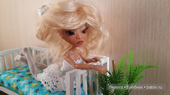 Моя азиатская кошечка Амигата Тресса от Тимура Зелеева (фото 6)