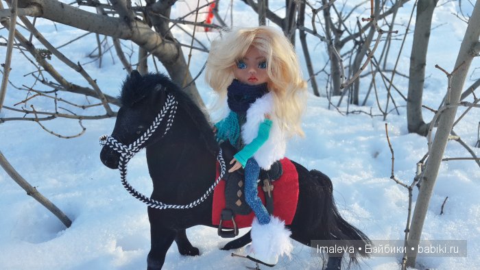 На прогулке Амигата и Буян (фото 10)