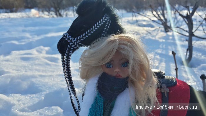 На прогулке Амигата и Буян (фото 8)