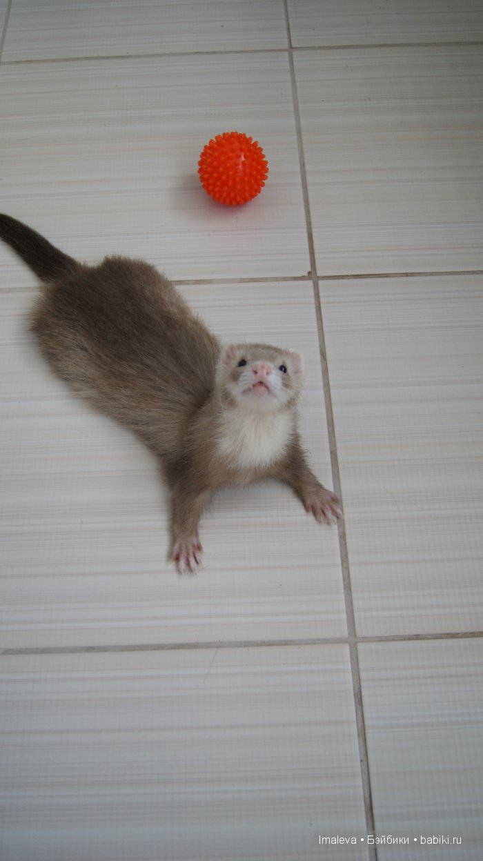 Наши летние покатушки — Куклы Fairyland (ФэйриЛэнд): BJD (БЖД)