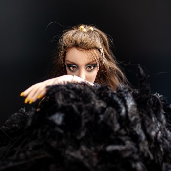 Вороны, спутники Валькирий