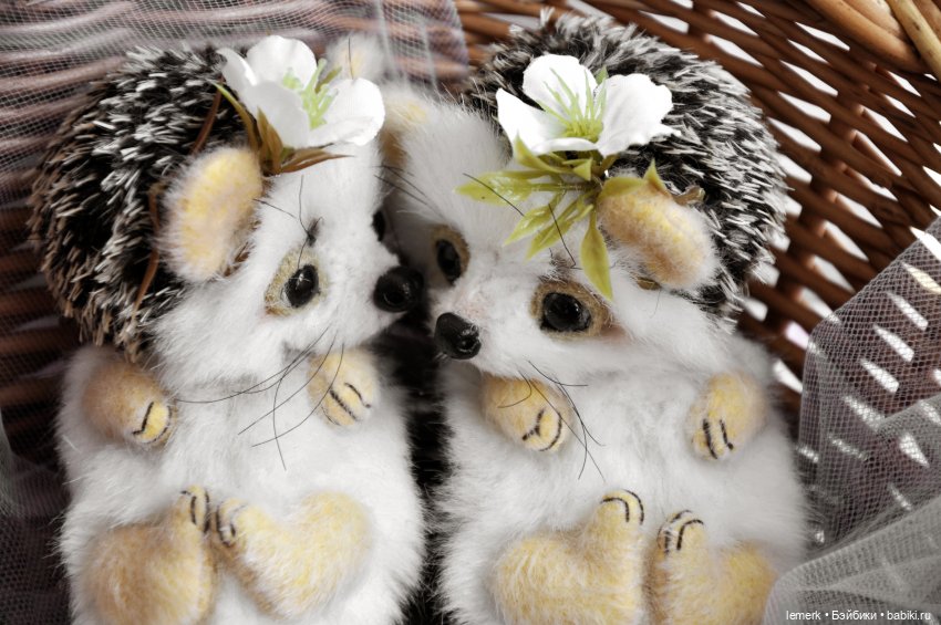 Пушистые тедди ежики: жизнь прекрасна, когда чьей-то щеке нужен твой нос (фото 4)