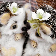 Пушистые тедди ежики: жизнь прекрасна, когда чьей-то щеке нужен твой нос