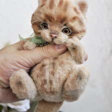 Рыжий, усатый, весь полосатый. Котенок тедди Клевер, на удачу