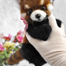 Карманная красная панда. Австорский тедди ручной работы