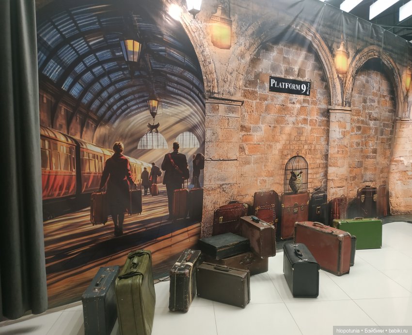 Вселенная Гарри Поттера в Ростове-на-Дону (фото 2)