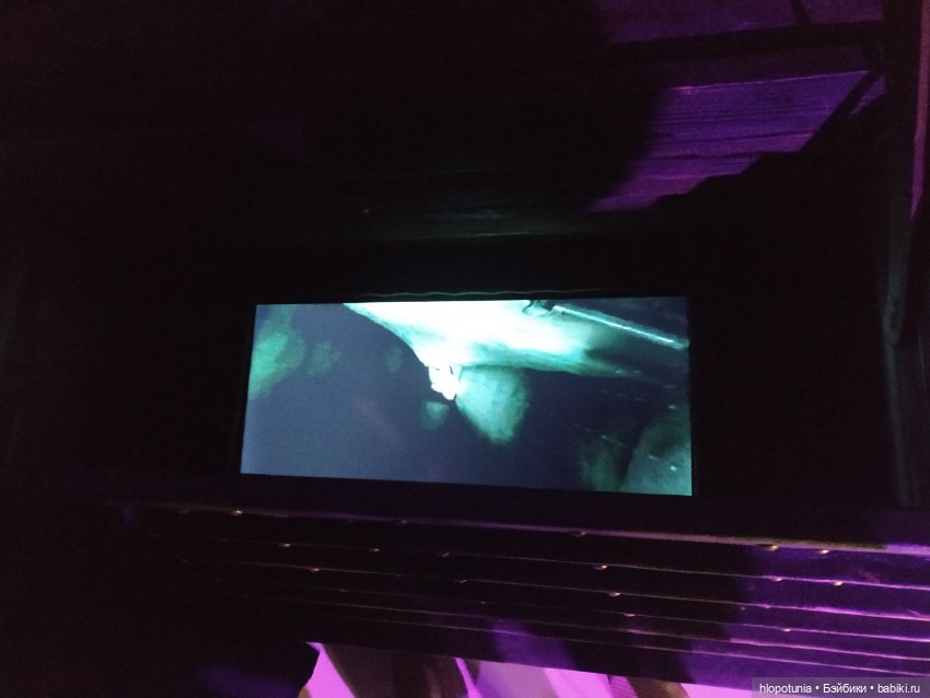 Вселенная Гарри Поттера в Ростове-на-Дону продолжение | Бэйбики Вселенная Гарри Поттера в Ростове-на-Дону продолжение (фото 8)