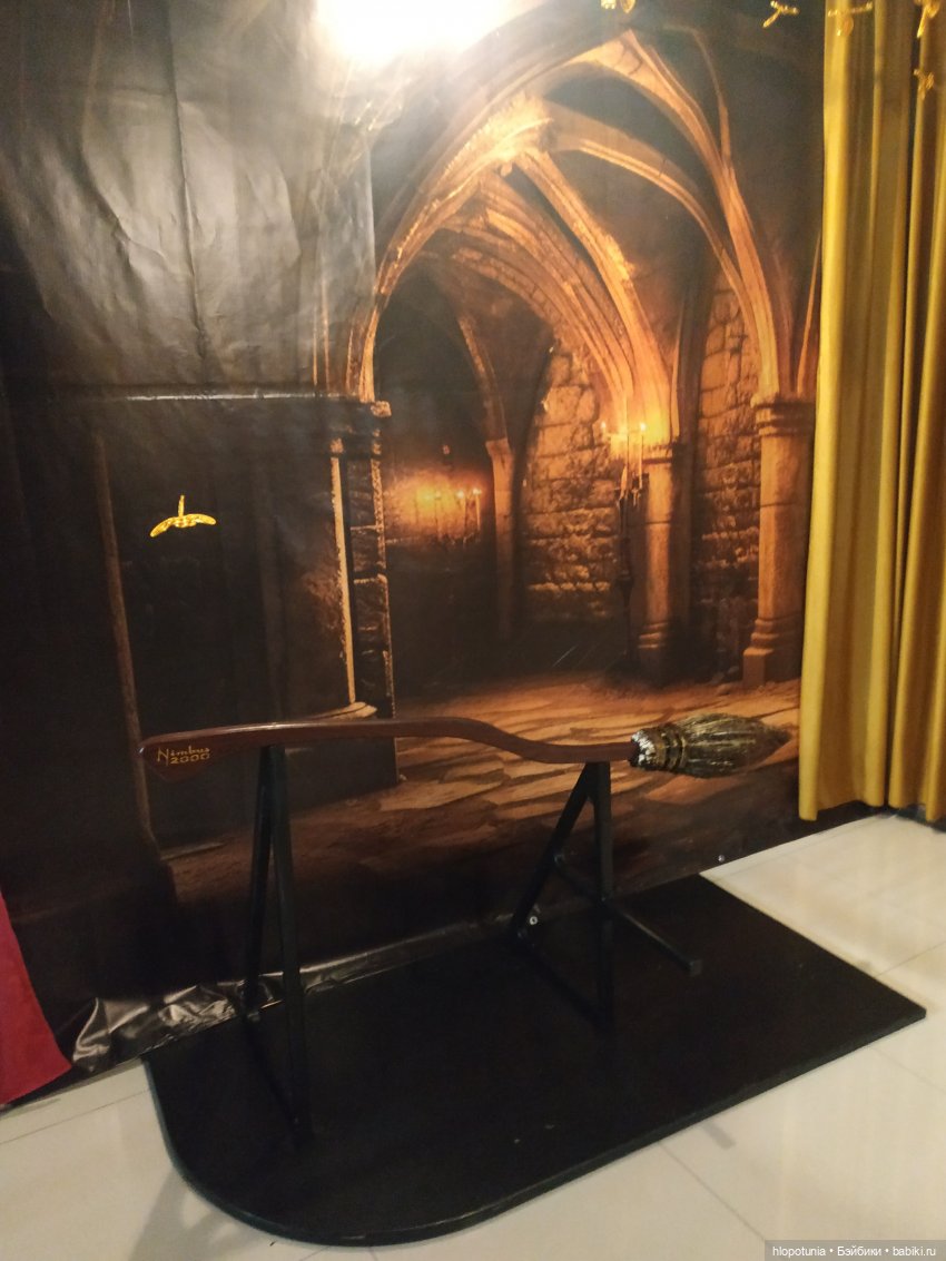 Вселенная Гарри Поттера в Ростове-на-Дону