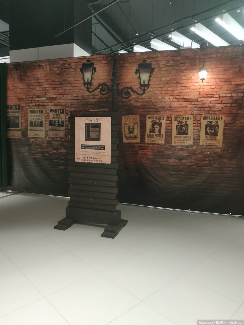 Вселенная Гарри Поттера в Ростове-на-Дону