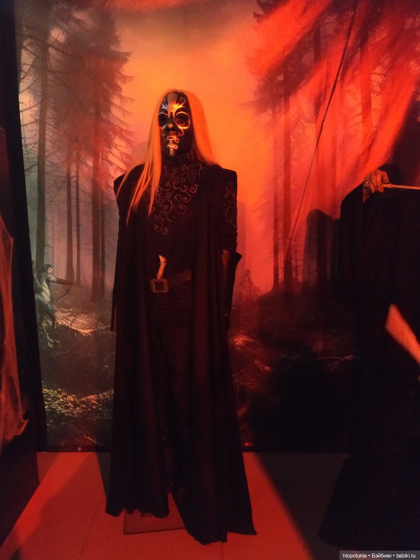 Вселенная Гарри Поттера в Ростове-на-Дону продолжение | Бэйбики Вселенная Гарри Поттера в Ростове-на-Дону продолжение (фото 4)