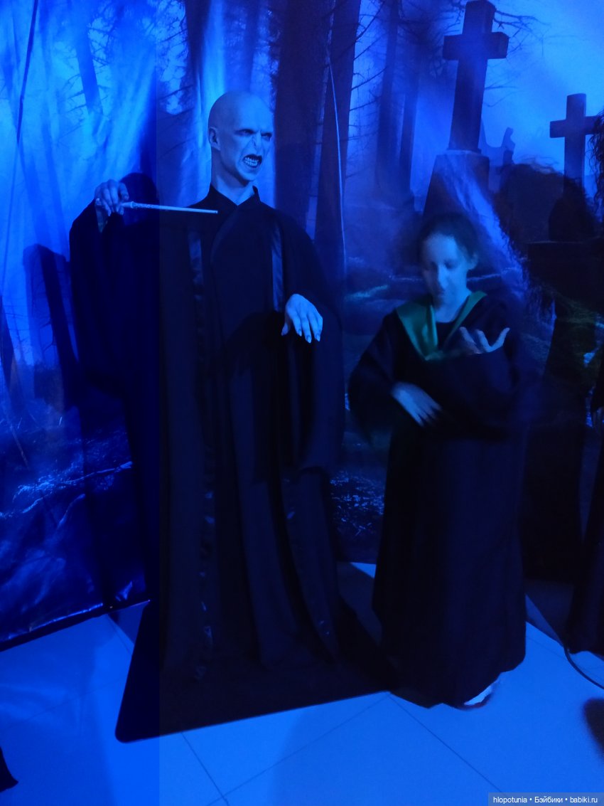 Вселенная Гарри Поттера в Ростове-на-Дону продолжение | Бэйбики Вселенная Гарри Поттера в Ростове-на-Дону продолжение (фото 6)