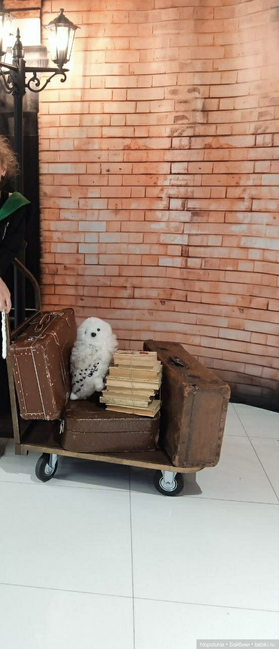 Вселенная Гарри Поттера в Ростове-на-Дону (фото 3)