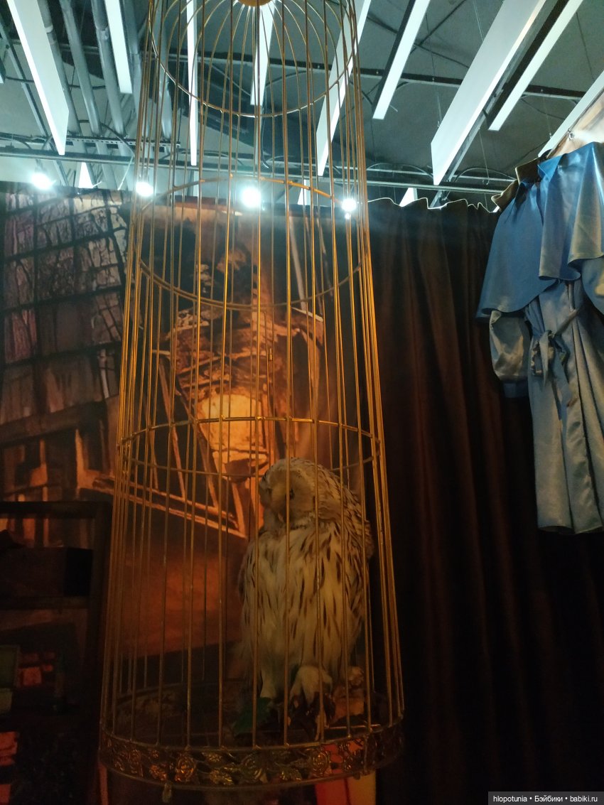 Вселенная Гарри Поттера в Ростове-на-Дону