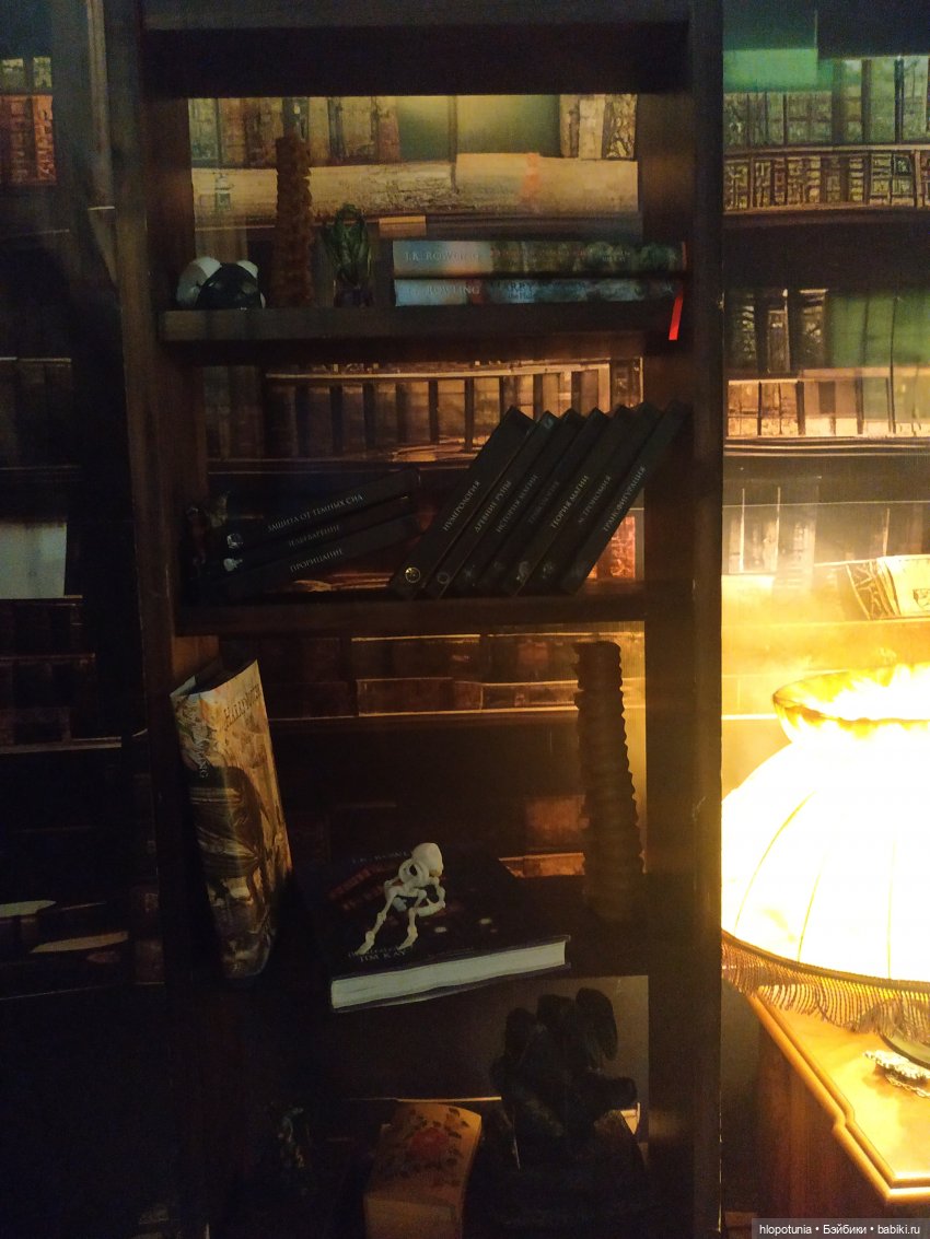 Вселенная Гарри Поттера в Ростове-на-Дону