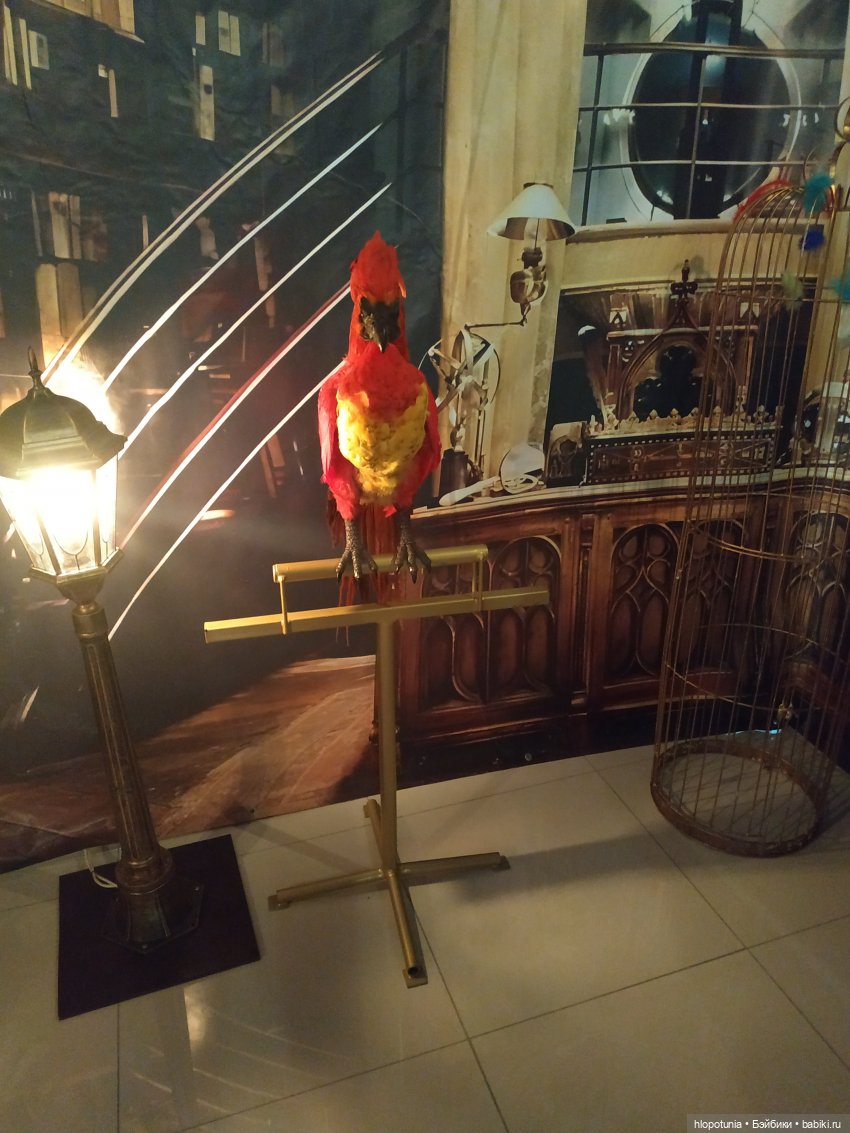 Вселенная Гарри Поттера в Ростове-на-Дону