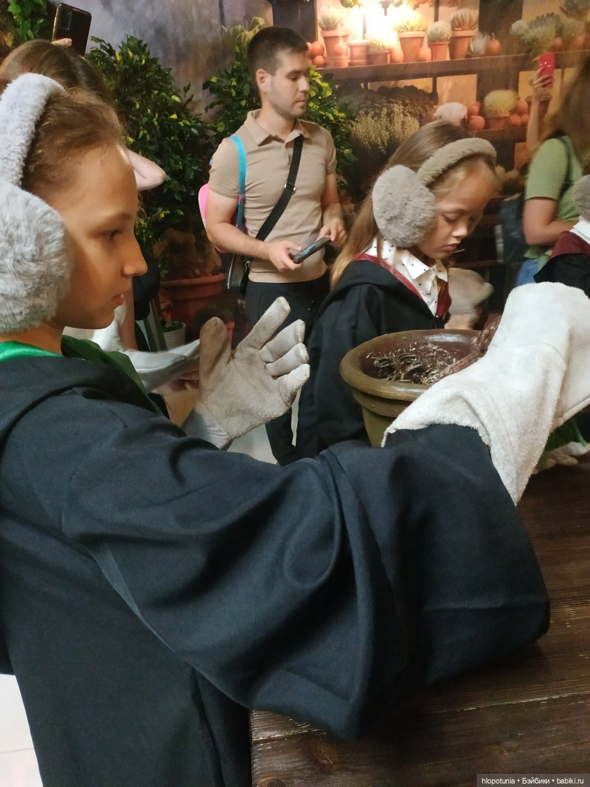 Вселенная Гарри Поттера в Ростове-на-Дону продолжение | Бэйбики Вселенная Гарри Поттера в Ростове-на-Дону продолжение