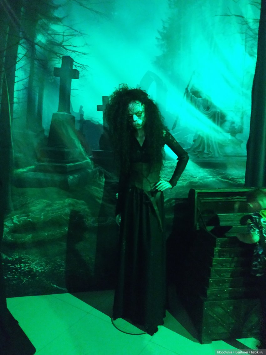 Вселенная Гарри Поттера в Ростове-на-Дону продолжение | Бэйбики Вселенная Гарри Поттера в Ростове-на-Дону продолжение (фото 5)