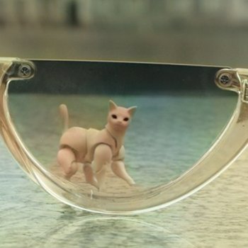 Chitocerium XXII-Tanio Alb