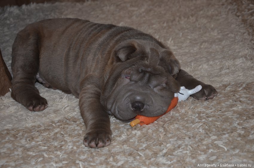 С Новым годом!С новым и старым счастьем