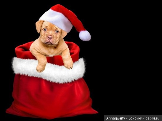 С Новым годом!С новым и старым счастьем