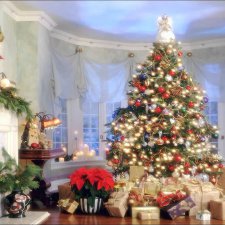 С Новым годом!С новым и старым счастьем!!