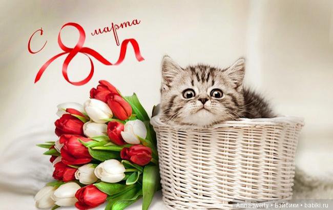 Лесли и Холли из коллекции "Шесть сестёр" от Hildegard Gunzel для Gotz 2002 года