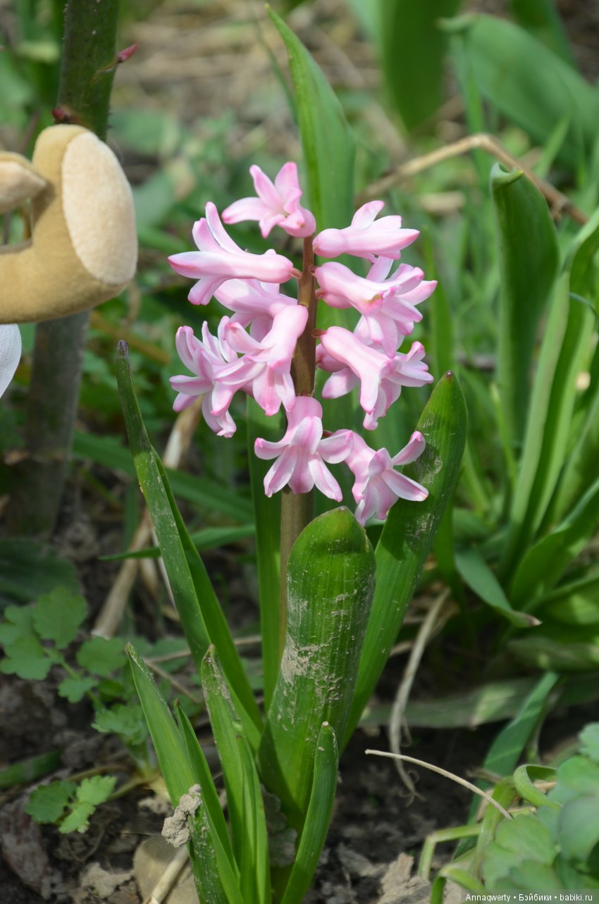 Мои любимые рыжики.Часть 1.Девочки поцелованные солнцем