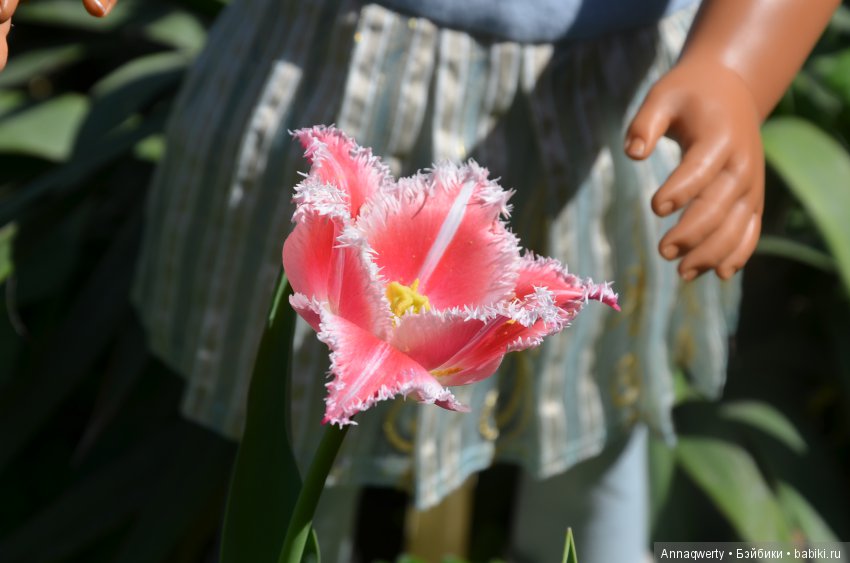 Мои девочки- азиаточки Heidi Plusczok встретили весну