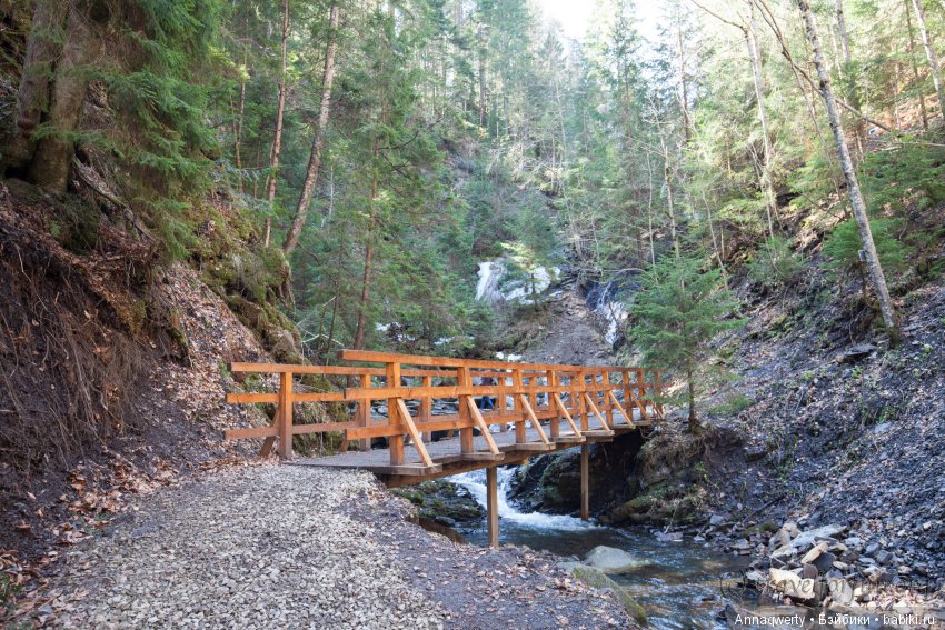 Выходные в Карпатах (Катя с нами)