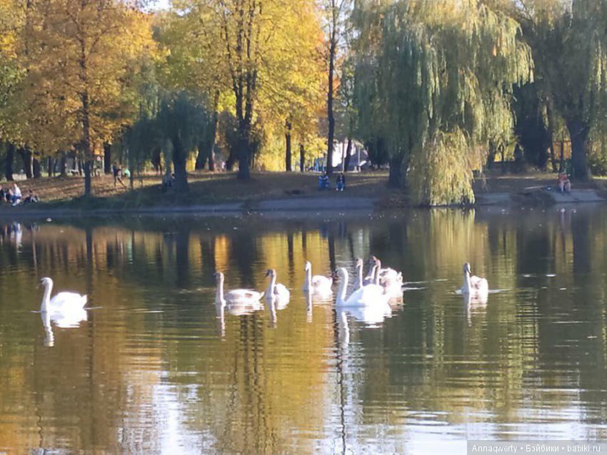 5 лет на сайте - маленький юбилей (фото 4)