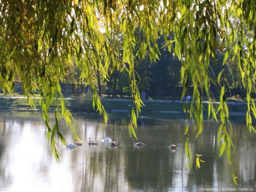 5 лет на сайте - маленький юбилей (фото 5)