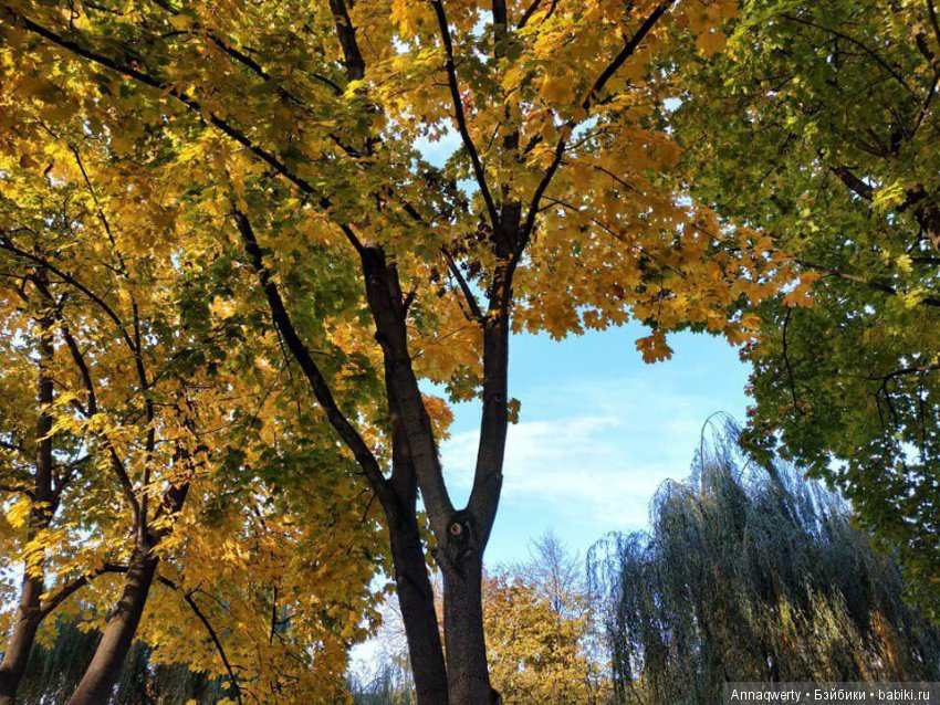 5 лет на сайте - маленький юбилей (фото 6)