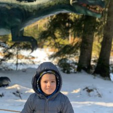 В мире динозавров