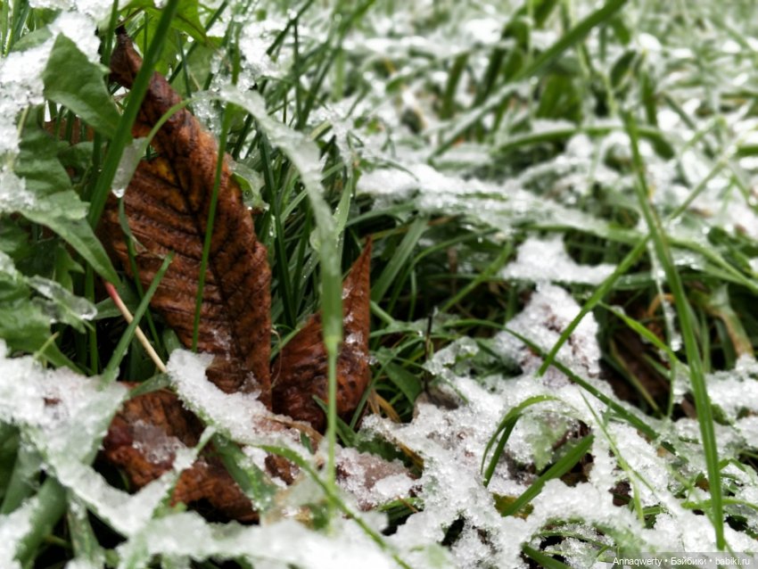 Времена года - Готц | Бэйбики Времена года - Готц — Куклы Gotz (Готц): Ханна