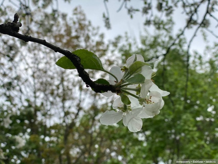 Времена года - Готц | Бэйбики Времена года - Готц — Куклы Gotz (Готц): Ханна