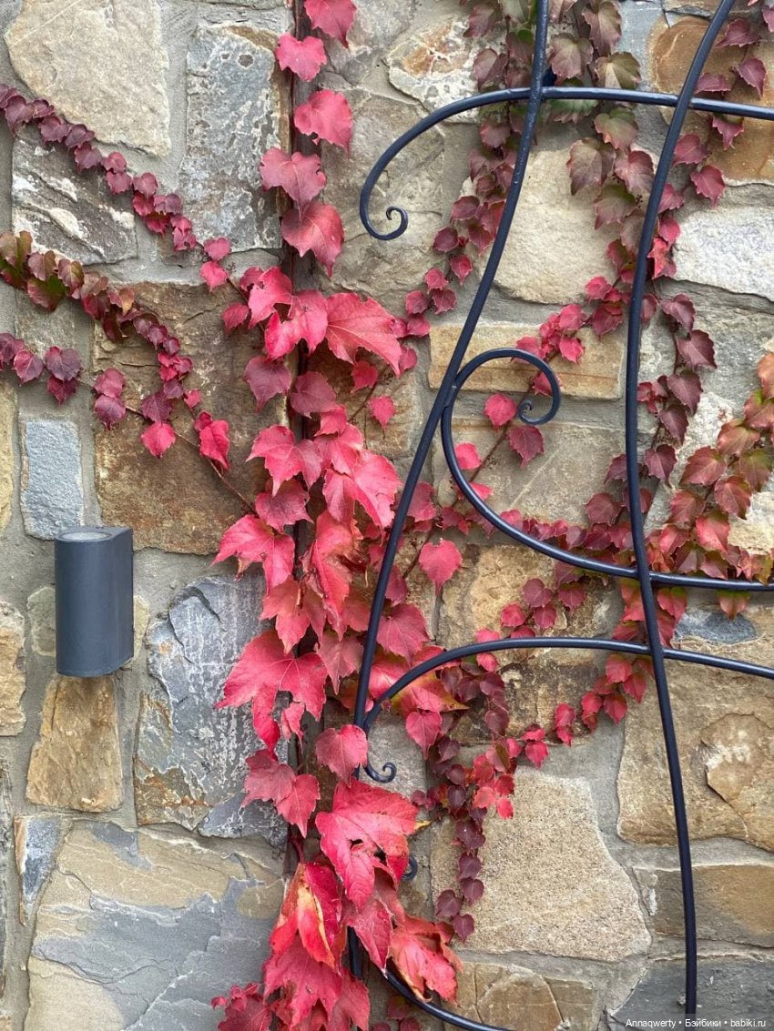 7 лет на Бейбиках.Фотоистория