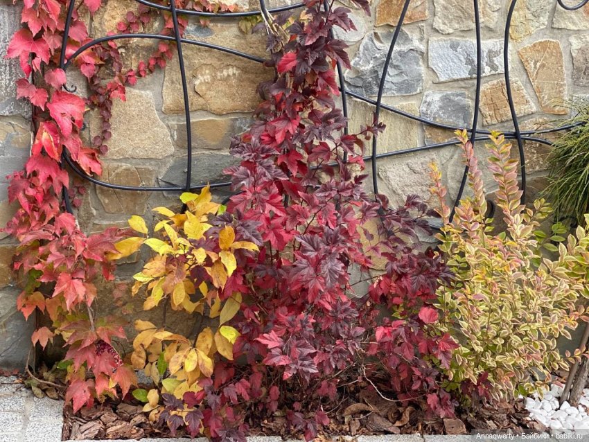 7 лет на Бейбиках.Фотоистория