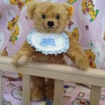 Мои мишки Steiff