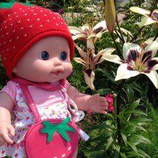 Как Беренжеры на даче отдыхали